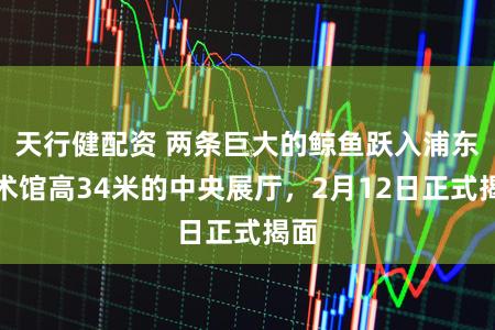 天行健配资 两条巨大的鲸鱼跃入浦东美术馆高34米的中央展厅，2月12日正式揭面