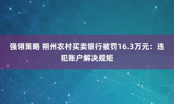 强翎策略 朔州农村买卖银行被罚16.3万元：违犯账户解决规矩