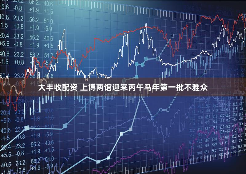 大丰收配资 上博两馆迎来丙午马年第一批不雅众