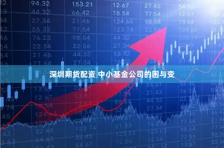 深圳期货配资 中小基金公司的困与变