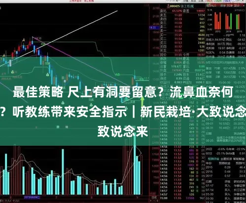 最佳策略 尺上有洞要留意？流鼻血奈何办？听教练带来安全指示｜新民栽培·大致说念来