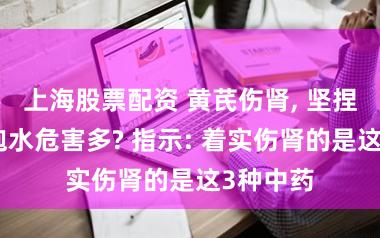 上海股票配资 黄芪伤肾, 坚捏喝黄芪泡水危害多? 指示: 着实伤肾的是这3种中药