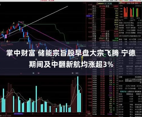 掌中财富 储能宗旨股早盘大宗飞腾 宁德期间及中翻新航均涨超3%