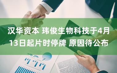 汉华资本 玮俊生物科技于4月13日起片时停牌 原因待公布