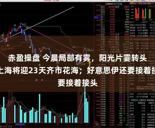 赤盈操盘 今晨局部有雾，阳光片霎转头！上海将迎23天齐市花海；好意思伊还要接着接头