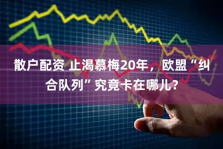 散户配资 止渴慕梅20年,欧盟“纠合队列”究竟卡在哪儿?